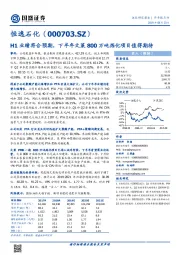 H1业绩符合预期，下半年文莱800万吨炼化项目值得期待