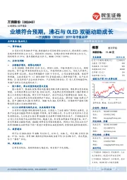 2019年中报点评：业绩符合预期，沸石与OLED双驱动助成长