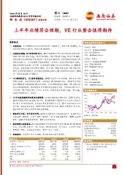 2019年半年报点评:上半年业绩符合预期,VE行业整合值得期待