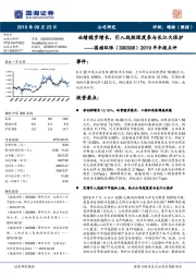 2019半年报点评：业绩稳步增长，引入战投深度参与长江大保护