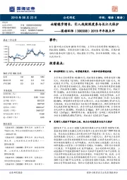 2019半年报点评:业绩稳步增长,引入战投深度参与长江大保护
