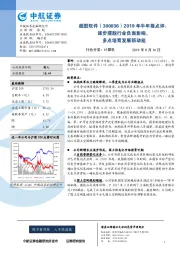 2019年半年报点评：逐步摆脱行业负面影响，多点培育发展新动能