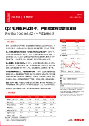 半年度业绩点评：Q2毛利率环比持平，产能释放有望增厚业绩