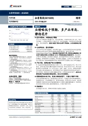 2019半年报点评：业绩略低于预期，多产品布局，静待花开