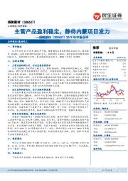 2019年中报点评:主营产品盈利稳定,静待内蒙项目发力
