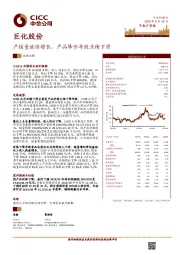 产销量继续增长，产品降价导致业绩下滑