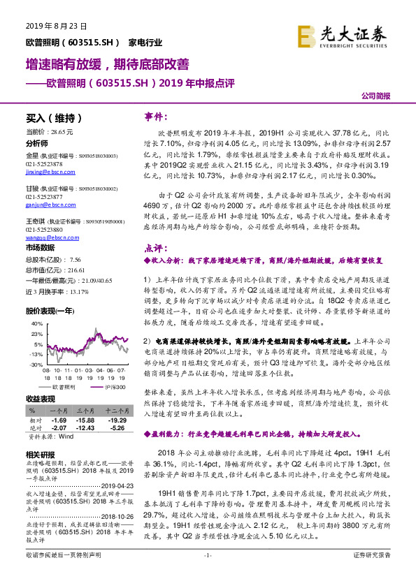 2019年中报点评：增速略有放缓，期待底部改善