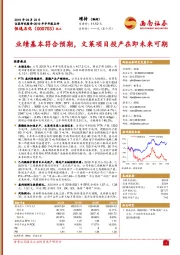 2019年半年报点评：业绩基本符合预期，文莱项目投产在即未来可期