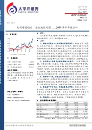 2019年半年报点评：毛利增速稳定，龙头地位巩固