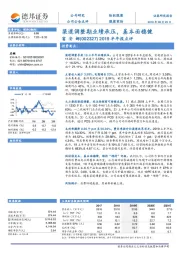 【德邦证券】渠道调整期业绩承压,基本面稳健-石林-190825