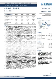 业绩靓丽，龙头风范