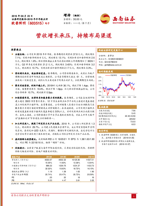 2019年半年报点评：营收增长承压，持续布局渠道