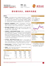 2019年半年报点评：营收增长承压，持续布局渠道