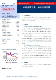 中期业绩下滑,静待市场回暖