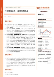 2019年中报点评：开拓境内业务，业绩短期承压