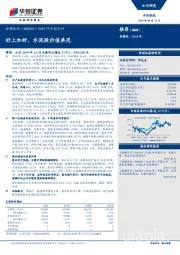 2019年中报点评：好上加好，水泥股价值典范