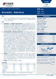 2019半年报点评：营收快速增长，智能终端加速