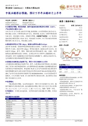 中报业绩符合预期,预计下半年业绩好于上半年