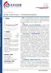 2019H1业绩有所波动，市场份额有望快速提升