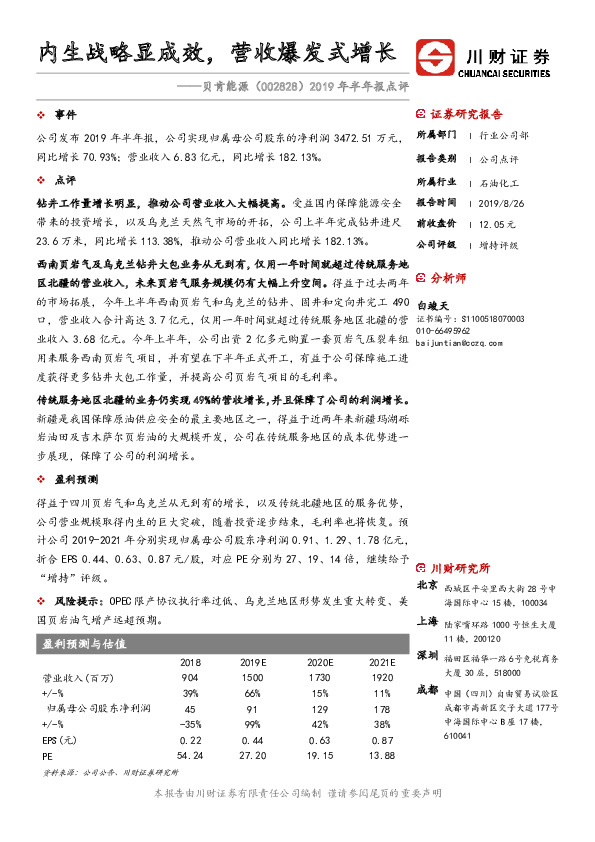 2019年半年报点评：内生战略显成效，营收爆发式增长