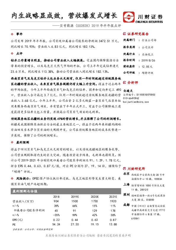 2019年半年报点评：内生战略显成效，营收爆发式增长