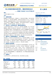 2019半年报点评：线上渠道持续驱动高增长，爆款策略获成功