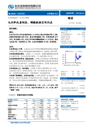 毛利率改善明显，磷酸铁锂空间仍在