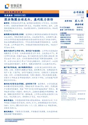 湿法隔膜全球龙头，盈利能力强劲