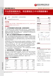 2019年半年报点评：行业层面继续承压，科技硬核助力中长期继续增长