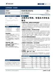 2019年半年报点评：业绩符合预期，智慧医疗持续高增长