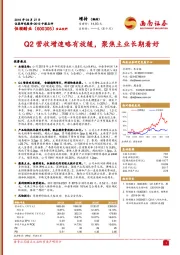 2019中报点评：Q2营收增速略有放缓，聚焦主业长期看好