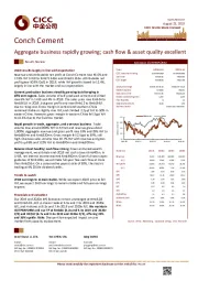 Aggregate business rapidly growing; cash flow & asset quality excellent