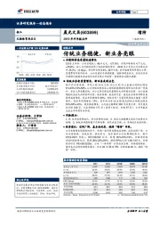 2019年半年报点评：传统业务稳健，新业务亮眼