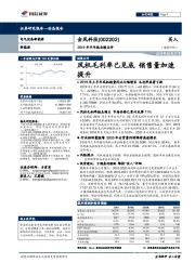 2019年半年报业绩点评:风机毛利率已见底 销售量加速提升