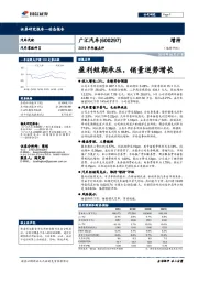 2019半年报点评：盈利短期承压，销量逆势增长