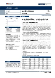 2019年中报：业绩符合预期，产能有序扩张