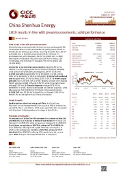 1H19 results in line with preannouncements; solid performance