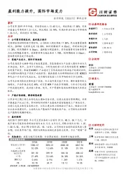 事件点评：盈利能力提升，国际市场发力