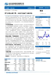 景气回落业绩下滑,加速中高端产业链布局