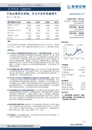 中报业绩符合预期，多点开花实现稳增长