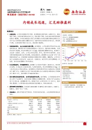 2019年半年报点评：内销成长迅速，汇兑助推盈利