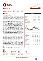 2Q19业绩同比下降，受价格下滑影响