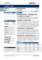 2019年半报点评:童装持续实现高增长,电商增速依旧强劲
