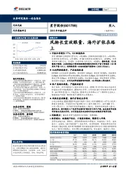 2019年中报点评:风物长宜放眼量,海外扩张在路上