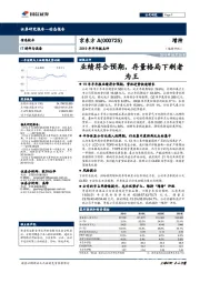 2019年半年报点评：业绩符合预期，存量格局下剩者为王