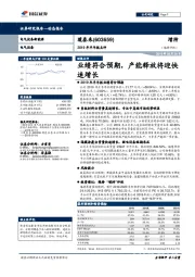 2019年半年报点评：业绩符合预期，产能释放将迎快速增长