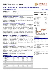 中环股份深度研究报告:光伏、半导体双主业,成长中的全球单晶硅材料龙头