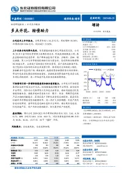 多点开花、转债助力