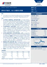 2019年中报点评：盈利水平提升，收入业绩符合预期