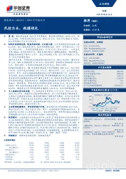 2019年中报点评：风控为本，规模领先